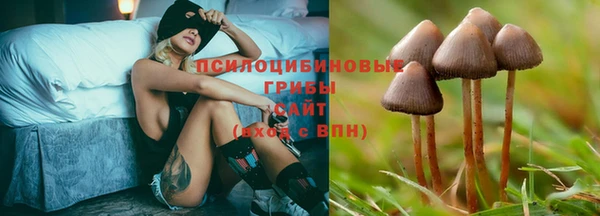дмт Беломорск